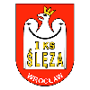 Sleza Wroclaw (W) logo