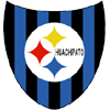Huachipato (W) logo