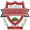 Nekemte Ketema logo