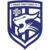 Wuhan Three Towns B logo