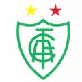 America MG (Youth) logo