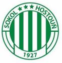 Sokol Hostoun logo
