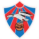 Valur (w) logo