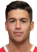 Meseguer Cavas V. A.