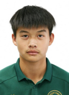Liu H.