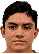 Luis Ronaldo Najera Reyna
