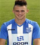 Drazic D.