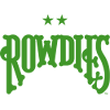 Tampa Bay Rowdies logo