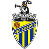 Valadares Gaia FC (W) logo