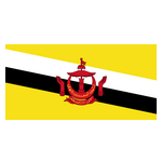 Brunei Darussalam U16 logo