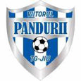 ACS Viitorul Pandurii Targu Jiu logo